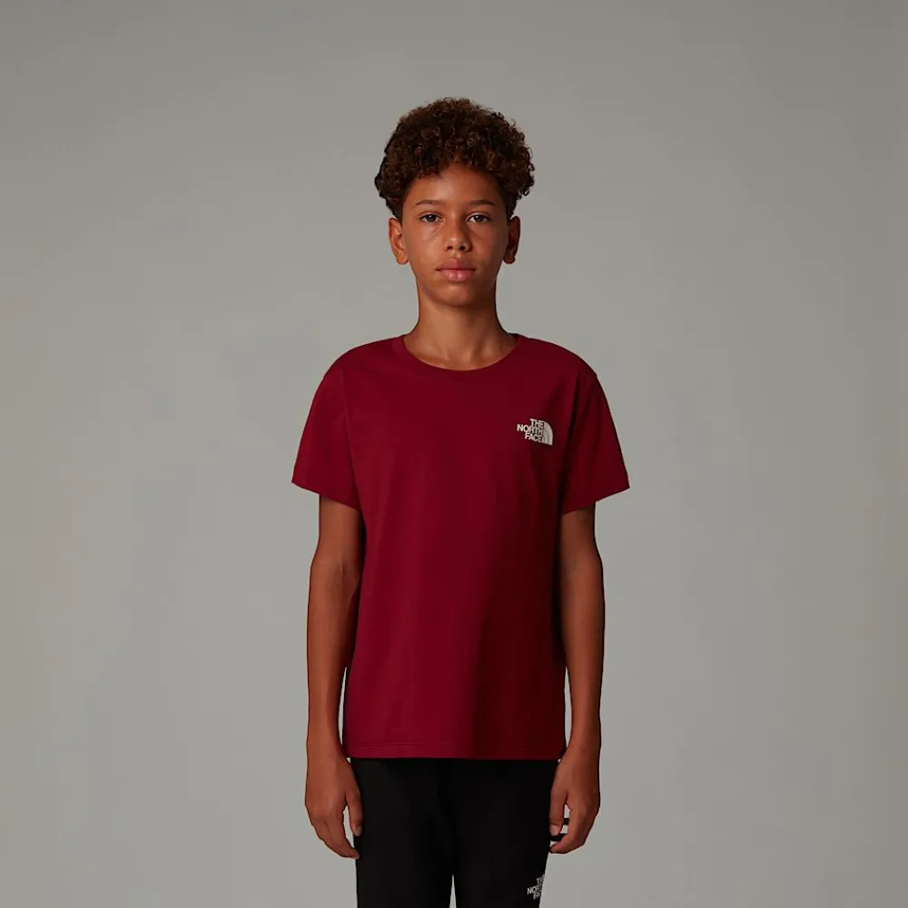 Camiseta France Redbox Para Jóvenes-The North Face Best