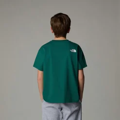 Camiseta Holgada Con Estampado Gráfico Varsity Para Jóvenes-The North Face Online