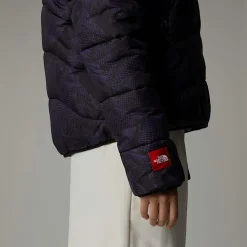 Chaqueta Acolchada Con Relleno Sintético 2000 Para Mujer-The North Face Discount
