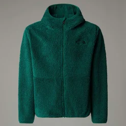 Chaqueta Con Capucha Y Cremallera Integral Campshire Para Jóvenes-The North Face Best