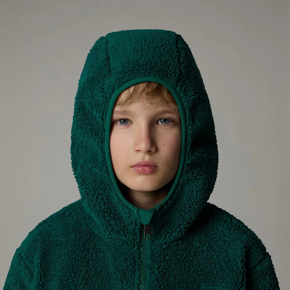 Chaqueta Con Capucha Y Cremallera Integral Campshire Para Jóvenes-The North Face Best