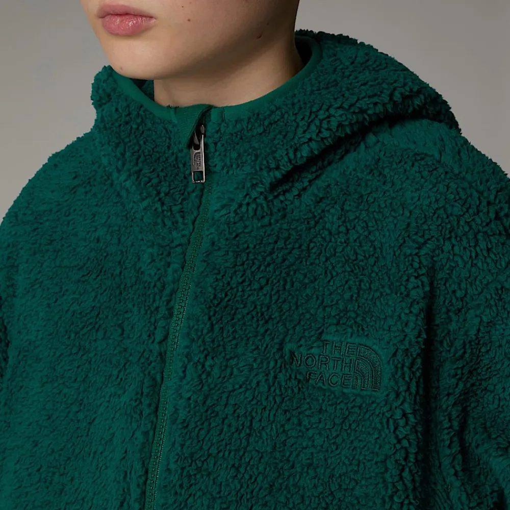 Chaqueta Con Capucha Y Cremallera Integral Campshire Para Jóvenes-The North Face Best