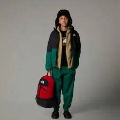 Chubasquero Cálido Antora Para Niño-The North Face