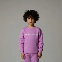 Conjunto De Poliéster Para Niños-The North Face Online