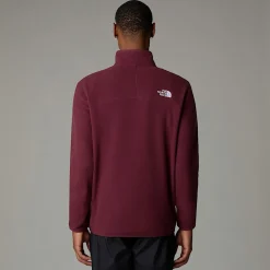 Forro Polar Con Cremallera De 1/4 Glacier 100 Para Hombre-The North Face