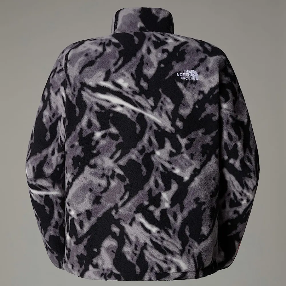 Forro Polar Con Cremallera De 1/4 TNF Fleeski Para Hombre-The North Face Discount