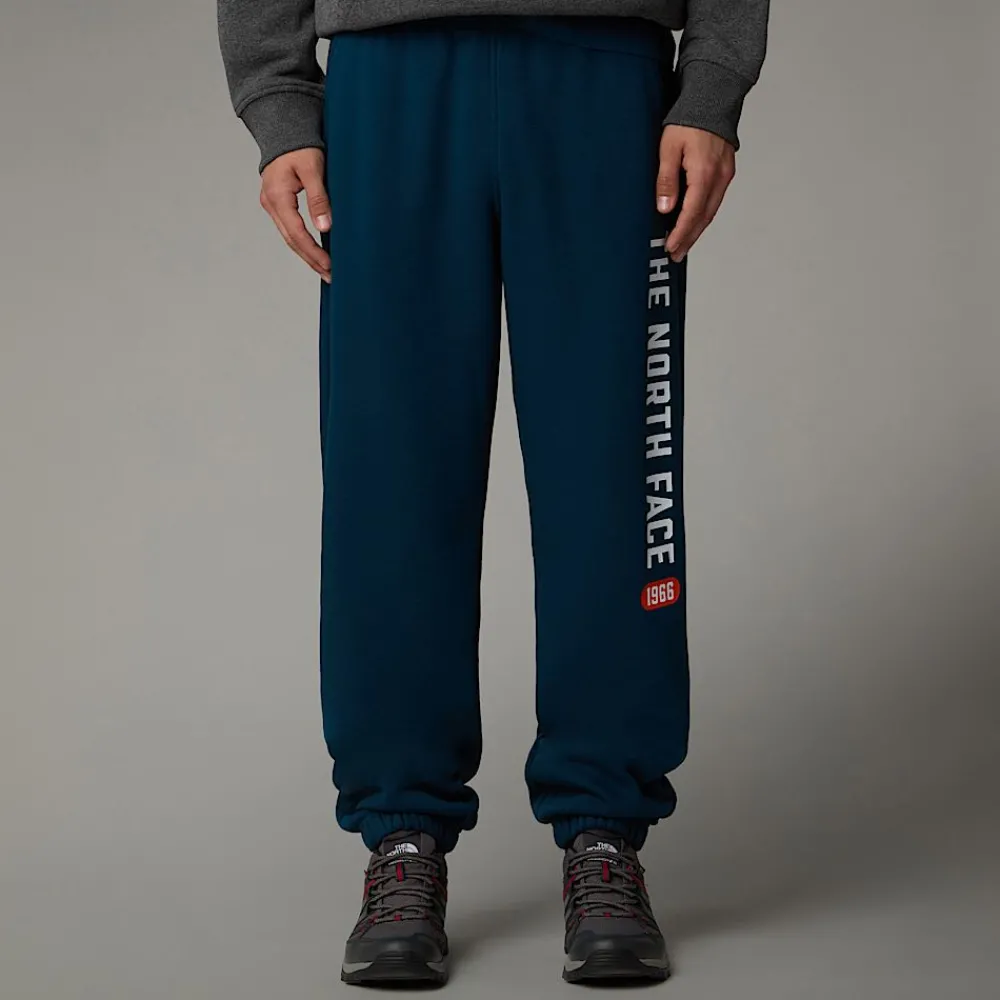 Pantalón De Chándal Con Estampado Gráfico Varsity Para Hombre-The North Face Online