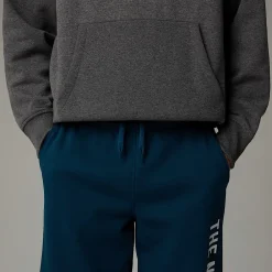 Pantalón De Chándal Con Estampado Gráfico Varsity Para Hombre-The North Face Online