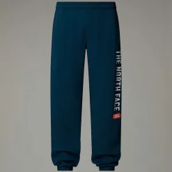 Pantalón De Chándal Con Estampado Gráfico Varsity Para Hombre-The North Face Online