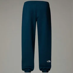Pantalón De Chándal Con Estampado Gráfico Varsity Para Hombre-The North Face Online