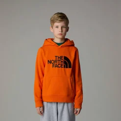 Sudadera Con Capucha Drew Peak Para Niño-The North Face Clearance