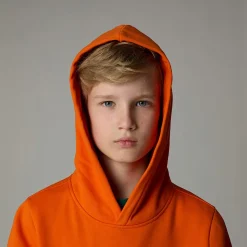 Sudadera Con Capucha Drew Peak Para Niño-The North Face Clearance