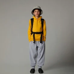 Sudadera Con Capucha Redbox Para Jóvenes-The North Face Clearance