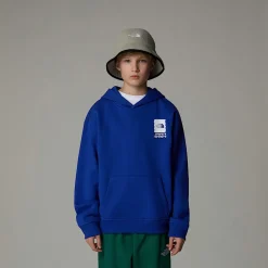 Sudadera Holgada Con Capucha Y Estampado Gráfico Coordinates Para Niño-The North Face Outlet