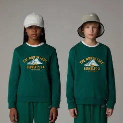 Sudadera Holgada Con Estampado Gráfico Varsity Para Jóvenes-The North Face Online
