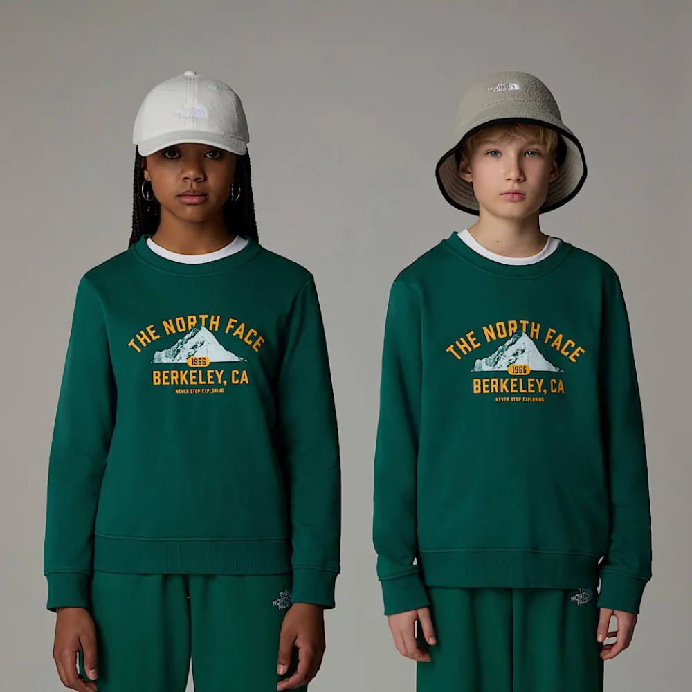 Sudadera Holgada Con Estampado Gráfico Varsity Para Jóvenes-The North Face Online