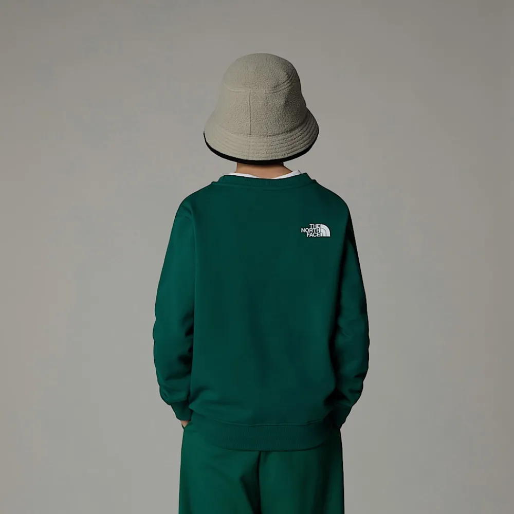 Sudadera Holgada Con Estampado Gráfico Varsity Para Jóvenes-The North Face Online
