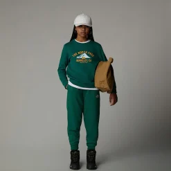 Sudadera Holgada Con Estampado Gráfico Varsity Para Jóvenes-The North Face Online