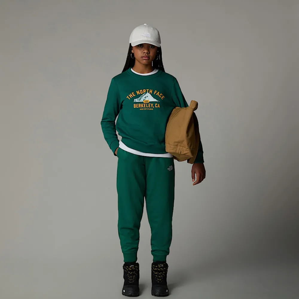 Sudadera Holgada Con Estampado Gráfico Varsity Para Jóvenes-The North Face Online